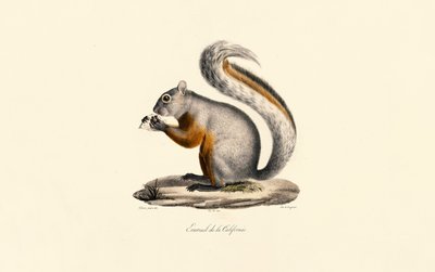  作： Jacques Christophe Werner