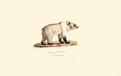  作： Jacques Christophe Werner