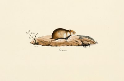  作： Jacques Christophe Werner