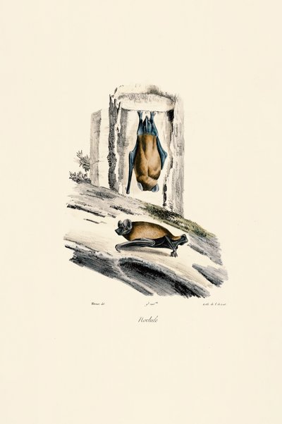  作： 