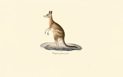  作： Jacques Christophe Werner