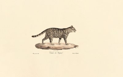  作： Jacques Christophe Werner