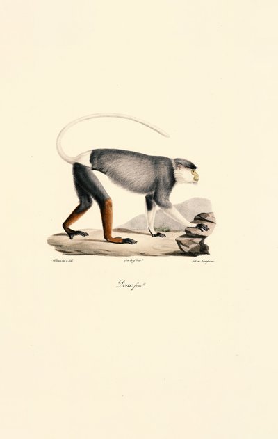  作： 