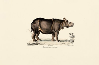  作： Jacques Christophe Werner