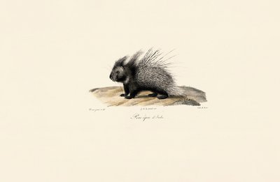  作： Jacques Christophe Werner