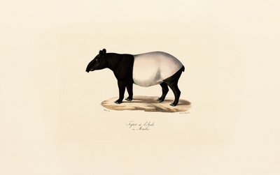  作： Jacques Christophe Werner