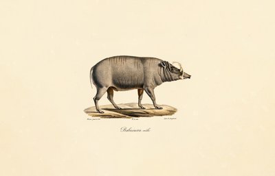  作： Jacques Christophe Werner