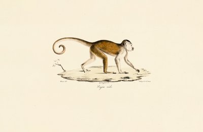  作： Jacques Christophe Werner