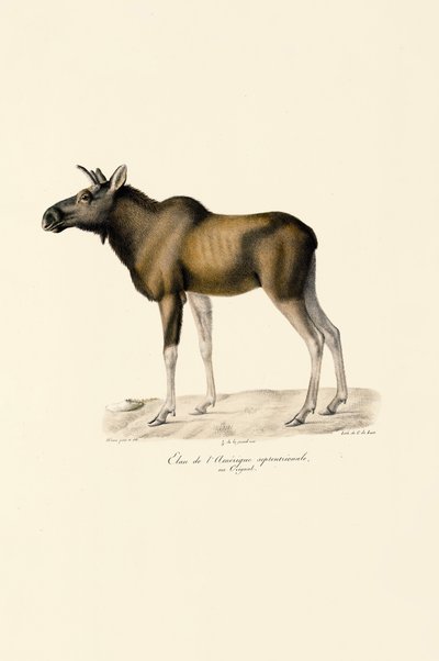  作： Jacques Christophe Werner
