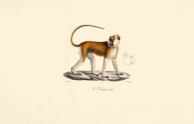  作： Jacques Christophe Werner