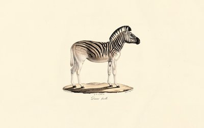  作： Jacques Christophe Werner