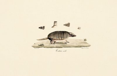  作： 