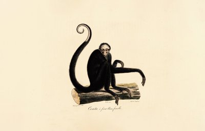  作： 