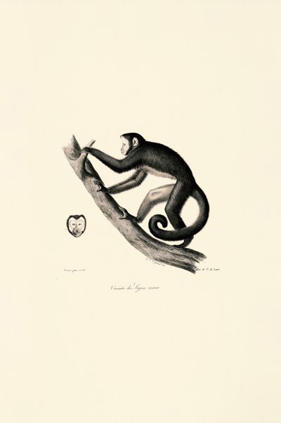  作： Jacques Christophe Werner