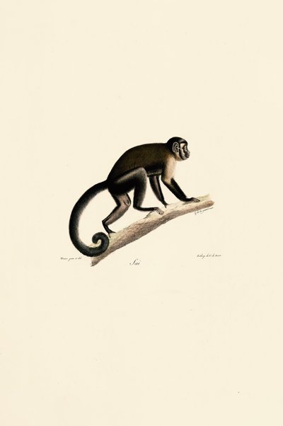  作： Jacques Christophe Werner