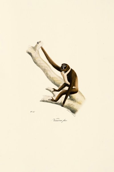  作： Jacques Christophe Werner