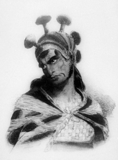 キノコで装飾された紋章付きヘルメットを着用したハワイアンウォリアー、1819年 作： Jacques Etienne Victor Arago