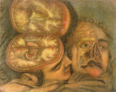 脳の断面、1746 作： Jacques Fabien Gautier d