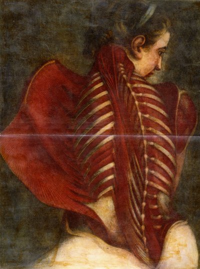 フレイデッドエンジェル、1745年頃 作： Jacques Fabien Gautier dAgoty