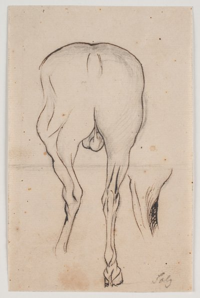 後ろから見た馬と馬の脚 作： Jacques Francois Joseph Saly