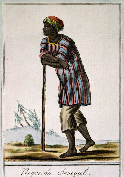セネガ・ネグロ、ジャック・グラッセ・ド・サン＝ソーヴル（1757-1810）の『航海百科事典』に掲載されたカラー図版 作： Jacques Grasset de Saint Sauveur