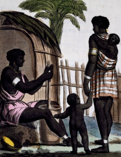 ジャック・グラッセ・ド・サン＝ソーヴル（1757-1810）の『航海の百科事典』に掲載されたラブローズ（1796年活躍）の絵からのカラーエングレーヴィング。 作： Jacques Grasset de Saint Sauveur