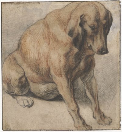 座っている犬 座っている妊娠中の犬 作： Jacques Jordaens