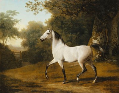 樹木が茂った風景の中の灰色のアラブ種牡馬、 作： Jacques Laurent Agasse