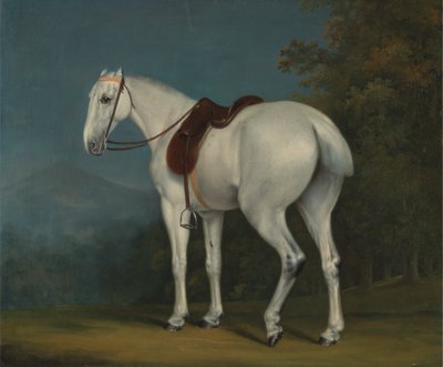 レディズ・グレイ・ハンター 作： Jacques Laurent Agasse