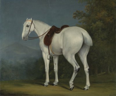 レディースグレイハンター、1806年頃（キャンバスに油彩） 作： Jacques Laurent Agasse