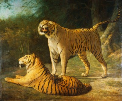 エクセターでのタイガーアンドタイガース 作： Jacques Laurent Agasse