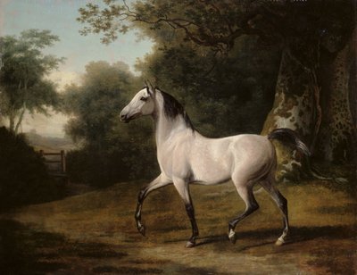 森の中の灰色のアラブの種馬 作： Jacques Laurent Agasse