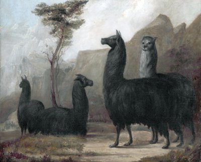 アルパカ 作： Jacques Laurent Agasse