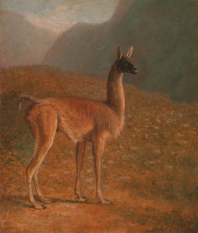 Guanaco   1433127   ja       japanese Successfully Translated  Original: The Shepherds Dog and the Wolf Translat: The Shepherd