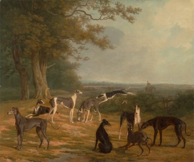 Nove galgos em uma paisagem 作： Jacques Laurent Agasse