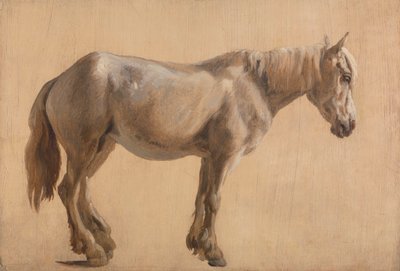 Harmaan hevosen tutkimus 作： Jacques Laurent Agasse