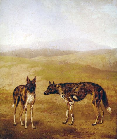 2匹のアフリカの狩猟犬（油彩・キャンバス） 作： Jacques Laurent Agasse