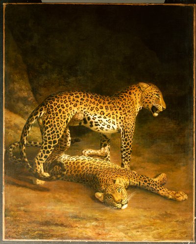 エクセター交換所にいる2頭のヒョウ、1808 作： Jacques Laurent Agasse