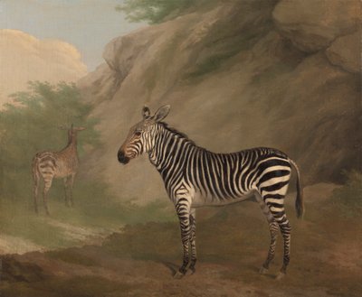 シマウマ 作： Jacques Laurent Agasse