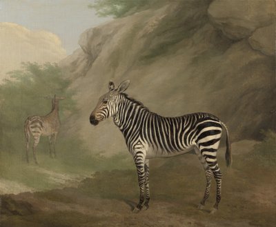 シマウマ 作： Jacques Laurent Agasse
