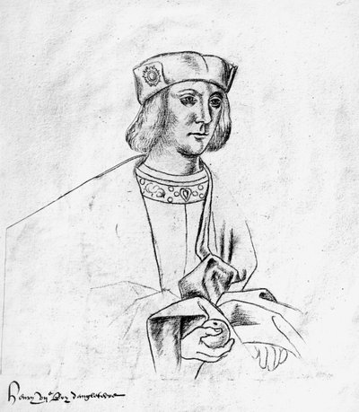 Ms.266 fol.10 &39;Recueil d&39;Arras&39;からのイングランド王（1485-1509）のHenry VII（1457-1509） 作： Jacques Le Boucq