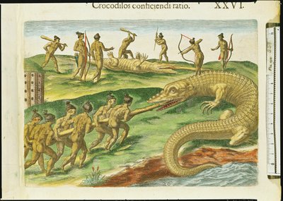 セオドア・ド・ブライ（1528-98）1563（180138の詳細）が刻まれた「ブレビスナラティオ」の狩猟ワニ 作： Jacques Le Moyne