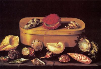 貝殻のある静物 作： Jacques Linard