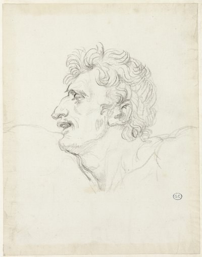 男の頭、左横顔 作： Jacques Louis David