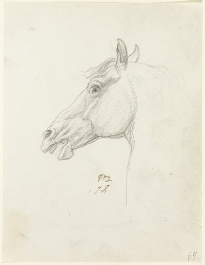 馬の頭 作： Jacques Louis David