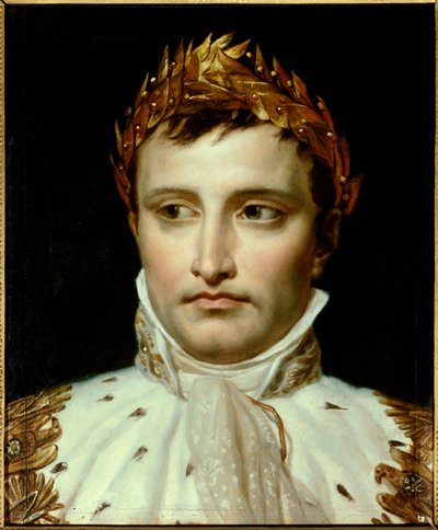 皇帝ナポレオン1世（1769-1821）の肖像 ジャック・ルイ・ダヴィッド（1748-1825）の絵画 19世紀 パリ、ティエール財団 - 皇帝ナポレオン1世ボナパルト（1769-1821）の肖像 ジャック・ルイ・ダヴィッド（1748-1925）の絵画 油彩・キャンバス 作： Jacques Louis David