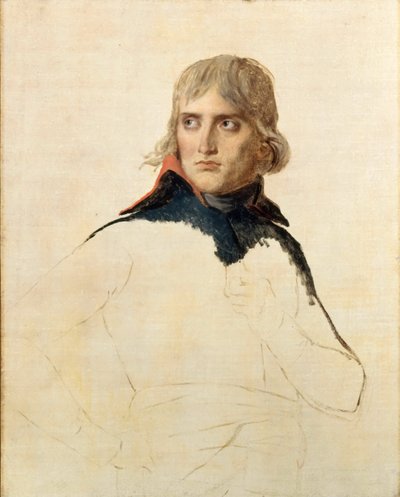ナポレオンボナパルト将軍の肖像 作： Jacques Louis David