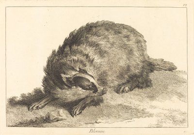 ブレロー（アナグマ） 作： Jacques Philippe Le Bas and Jean Eric Rehn after Jean Baptiste Oudry