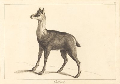 シャモア（シャモア） 作： Jacques Philippe Le Bas and Jean Eric Rehn after Jean Baptiste Oudry