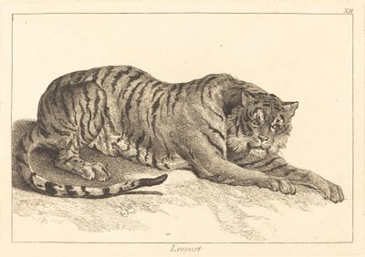ヒョウ（ヒョウまたはトラ） 作： Jacques Philippe Le Bas and Jean Eric Rehn after Jean Baptiste Oudry